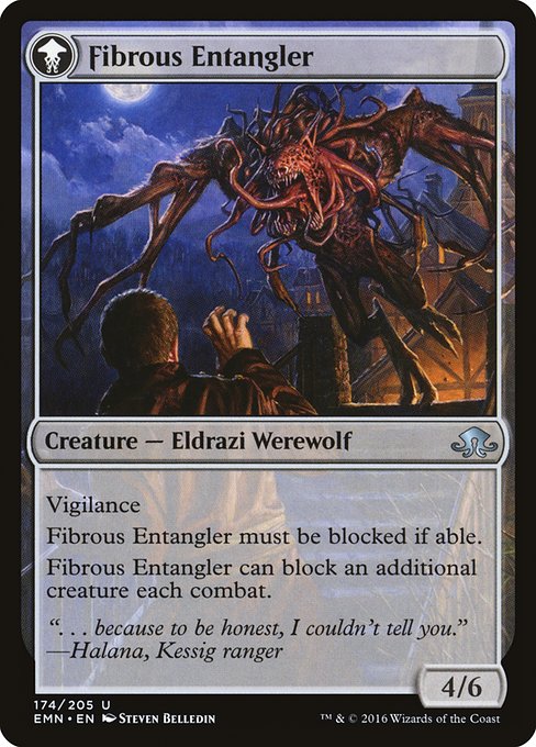 Tangleclaw Werewolf // Fibrous Entangler (reverso)