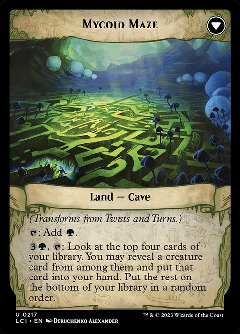 Twists and Turns // Mycoid Maze (reverso)
