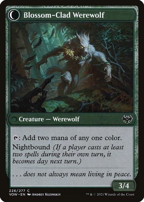 Weaver of Blossoms // Blossom-Clad Werewolf (reverso)