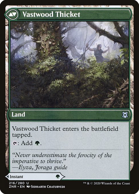 Vastwood Fortification // Vastwood Thicket (reverso)